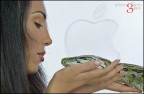 Apple Apple