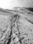 inverno a 1850m B/W inverno a 1850m B/W