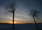 all'alba di un sogno invernale all'alba di un sogno invernale