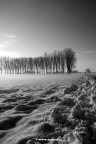 Black (man) in White (snow) N°3 Black (man) in White (snow) N°3