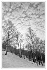 verso il cielo