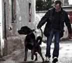 a spasso col cane a spasso col cane