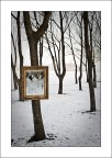 Foto per contest Foto per contest