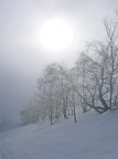 Nebbia Nebbia
