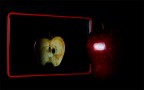 Attraverso lo specchio - Il ritratto di Apple Gray Attraverso lo specchio - Il ritratto di Apple Gray