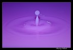 Splash 2 Splash 2