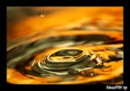 Movimenti d'acqua Movimenti d'acqua