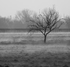 fz 38-f6,3.-1/1000-foc.eq.350mm-iso 200-ML.suggerimenti e critiche sepre ben accetti.