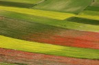 I colori di Castelluccio