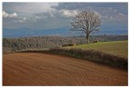 campagna romana campagna romana