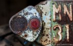 MN31 MN31