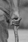 il sostegno il sostegno