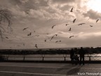 Passeggiata d'altri tempi... Passeggiata d'altri tempi...