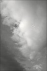 volo solitario