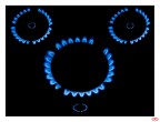 Blue Gas Koala Blue Gas Koala