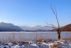 Lago ghiacciato Lago ghiacciato