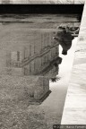 Riflessi Riflessi