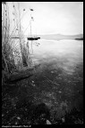 Prima mattina Prima mattina