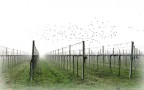 semplicemente.....via semplicemente.....via