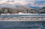 neve neve
