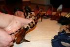 scarpe.... scarpe....