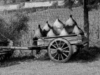 carretto nel ...chianti carretto nel ...chianti
