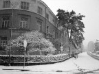 La mia ex scuola in Inverno La mia ex scuola in Inverno