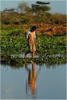 Buscando la Anaconda... Buscando la Anaconda...