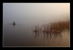A pesca nell'alba nebbiosa A pesca nell'alba nebbiosa