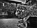 Un guardiano Un guardiano