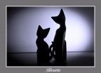 silhouette silhouette