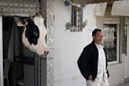 la marsa_1 la marsa_1