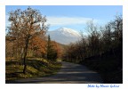 Monti Nebrodi - Messina - Sicilia
Sullo sfondo il maestoso vulcano ETNA