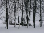 ancora inverno ancora inverno