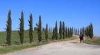 A cavallo nella campagna Toscana A cavallo nella campagna Toscana
