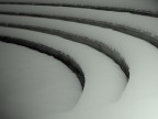 Curve di neve