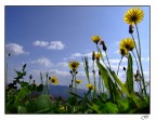 Visione dal Basso Visione dal Basso