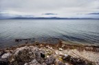 trasimeno trasimeno