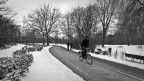 Winter Winter