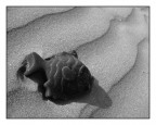 ...NATURA MORTA... ...NATURA MORTA...