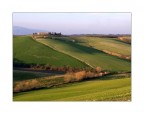 676 - Campagna nel Pisano 676 - Campagna nel Pisano