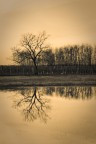 Riflessione Riflessione