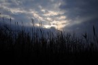 Clouds Clouds