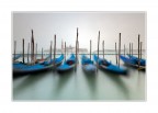 Mosso veneziano Mosso veneziano