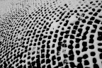 Snow Pattern