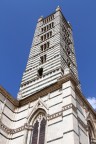 siena siena