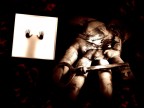 ...the key... ...the key...