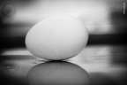 buona Pasqua buona Pasqua