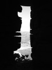 il fiore sulla roccia il fiore sulla roccia