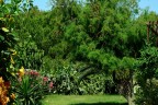 Natura Natura